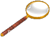 Fire Rescue